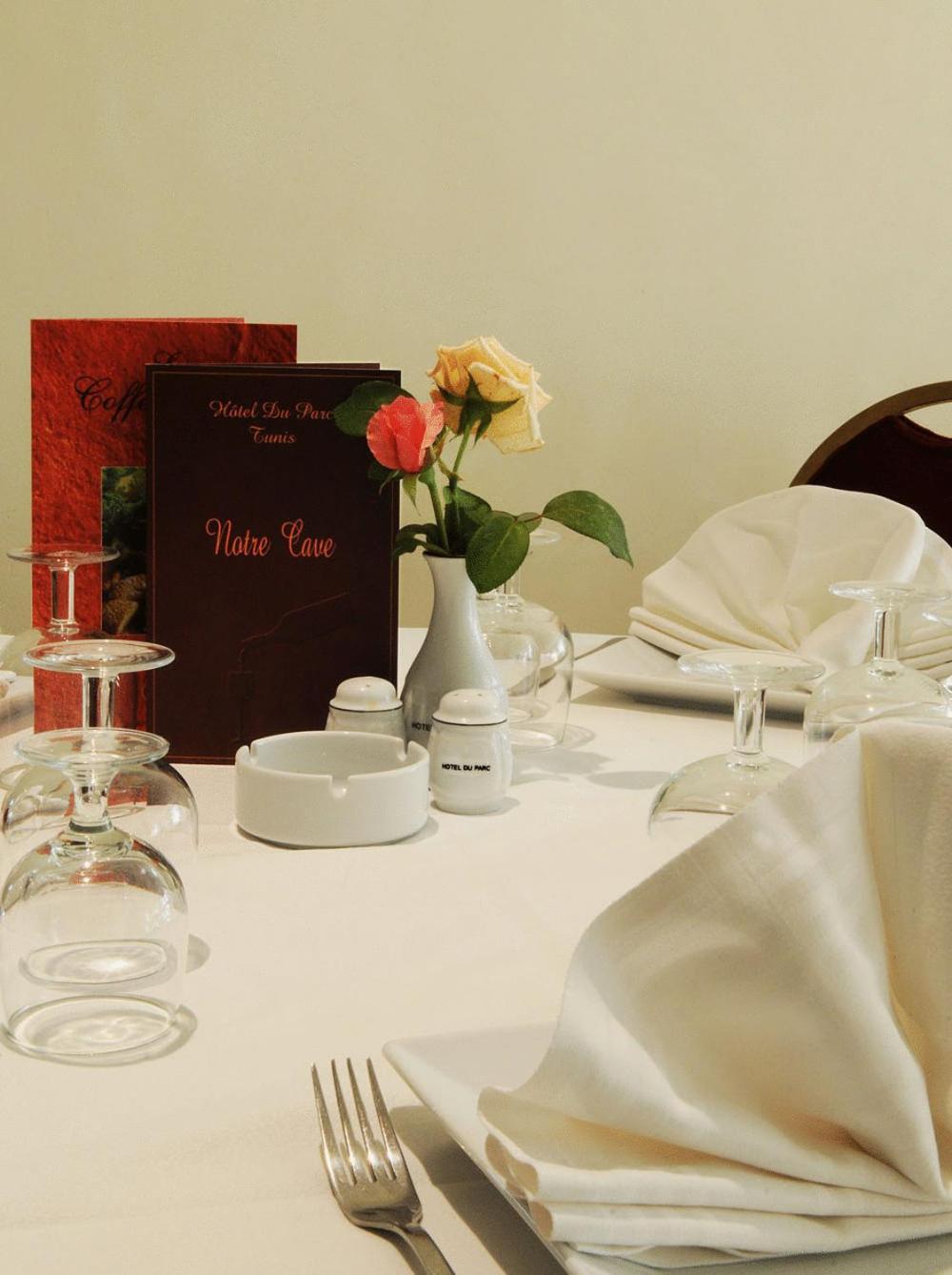 Hotel Du Parc Tunus Dış mekan fotoğraf